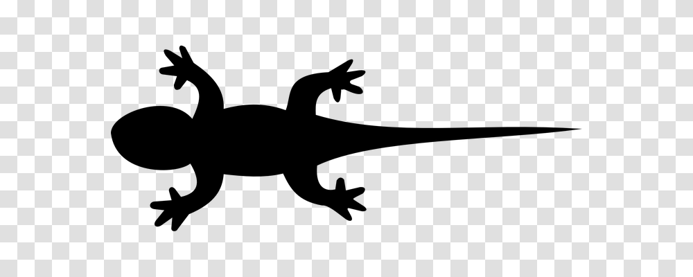 Lizard Nature, Gray, World Of Warcraft Transparent Png