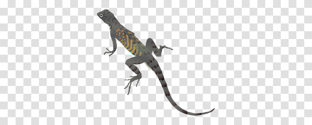 Lizard Nature, Gecko, Reptile, Animal Transparent Png