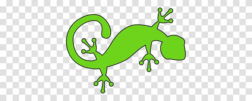 Lizard Nature, Gecko, Reptile, Animal Transparent Png