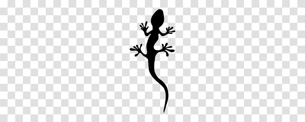 Lizard Animals, Gray, World Of Warcraft Transparent Png