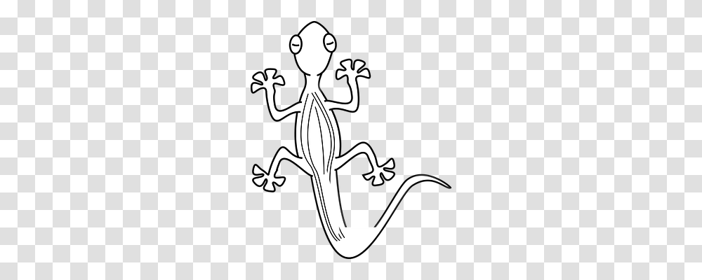 Lizard Animals, Gecko, Reptile, Stencil Transparent Png