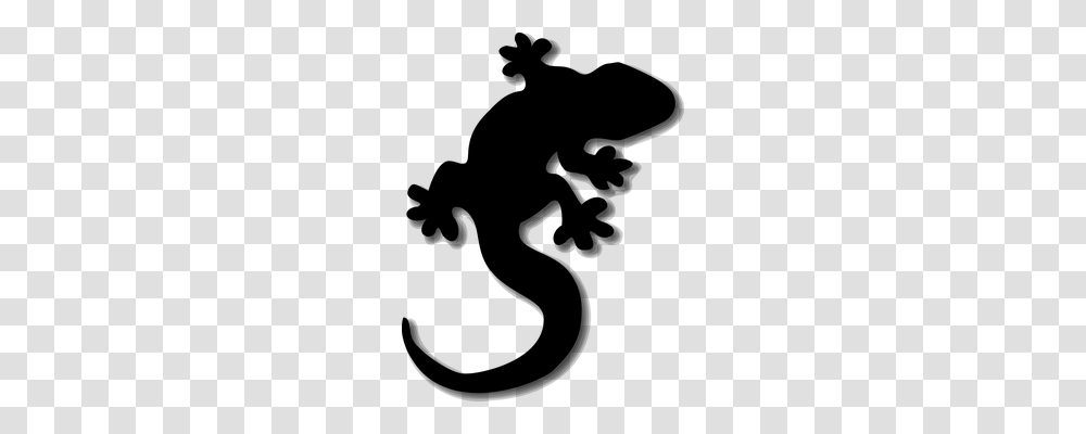 Lizard Animals, Gray, World Of Warcraft Transparent Png