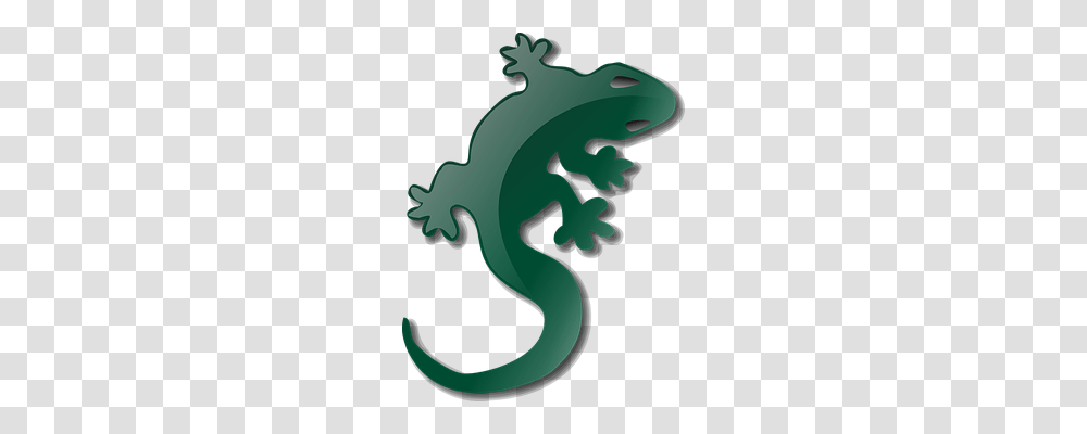 Lizard Nature, Green, Dragon Transparent Png