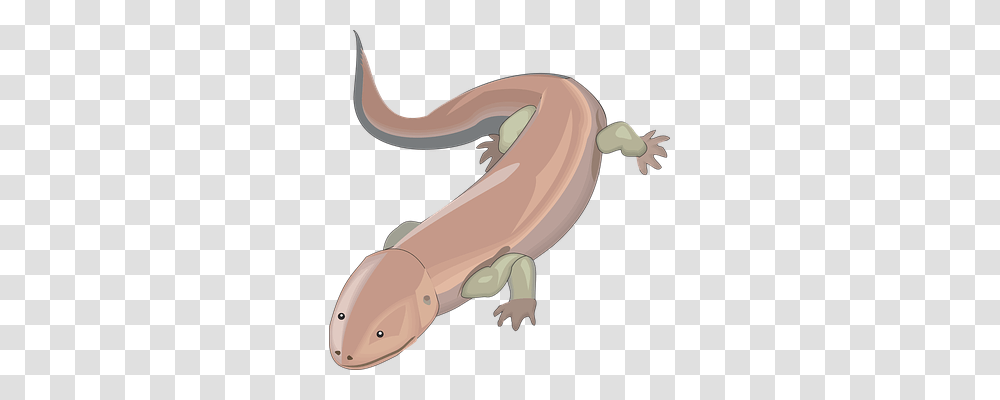 Lizard Nature, Wildlife, Animal, Mammal Transparent Png