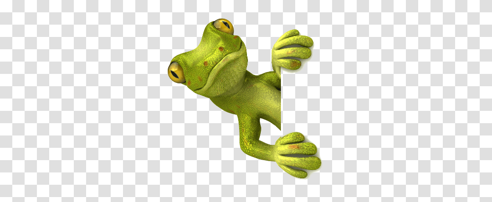 Lizard, Animals, Amphibian, Wildlife, Frog Transparent Png