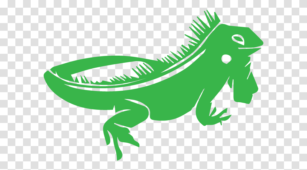 Lizard Chameleons Reptile Green Iguana Iguanas, Animal Transparent Png