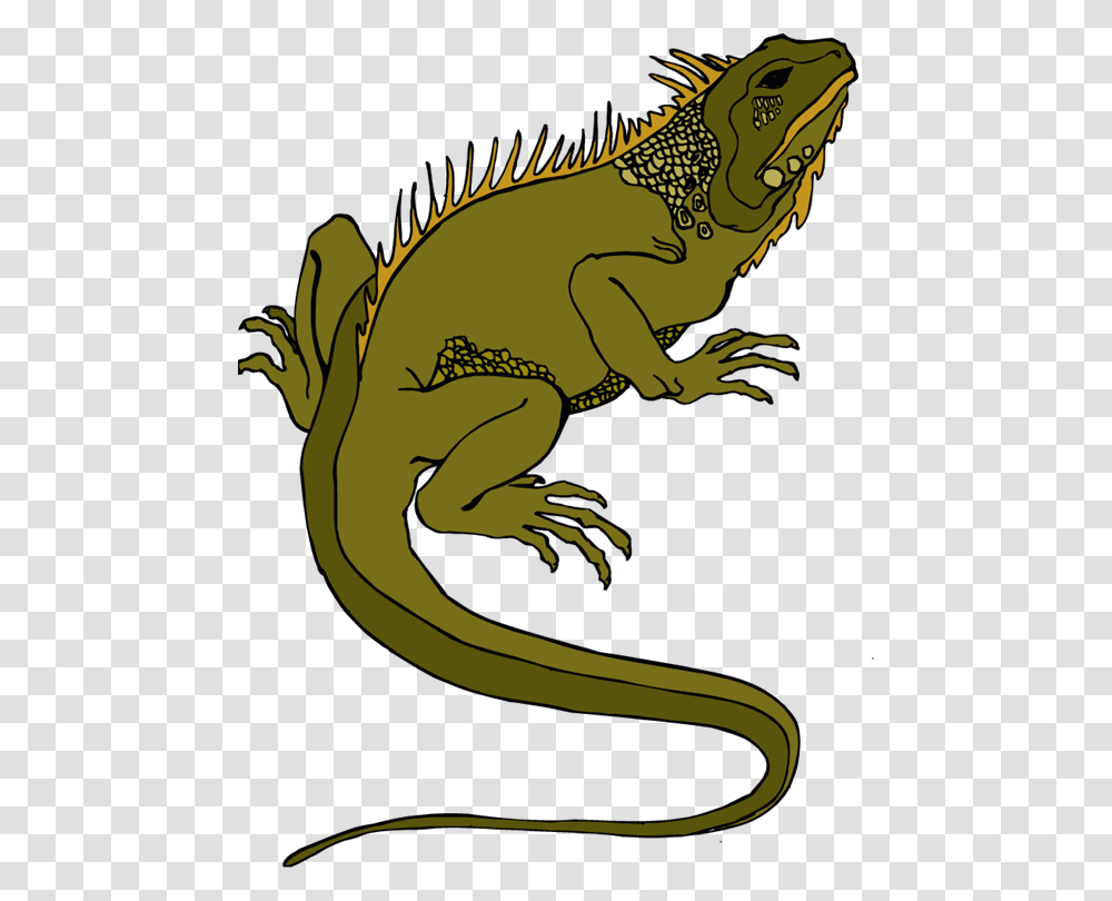 Lizard Clip Art Free, Iguana, Reptile, Animal Transparent Png