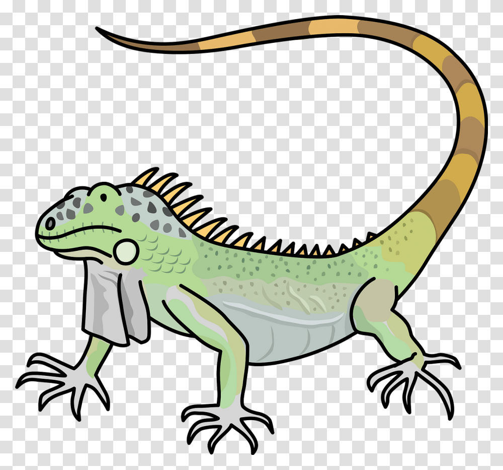 Lizard Clipart, Iguana, Reptile, Animal, Dinosaur Transparent Png