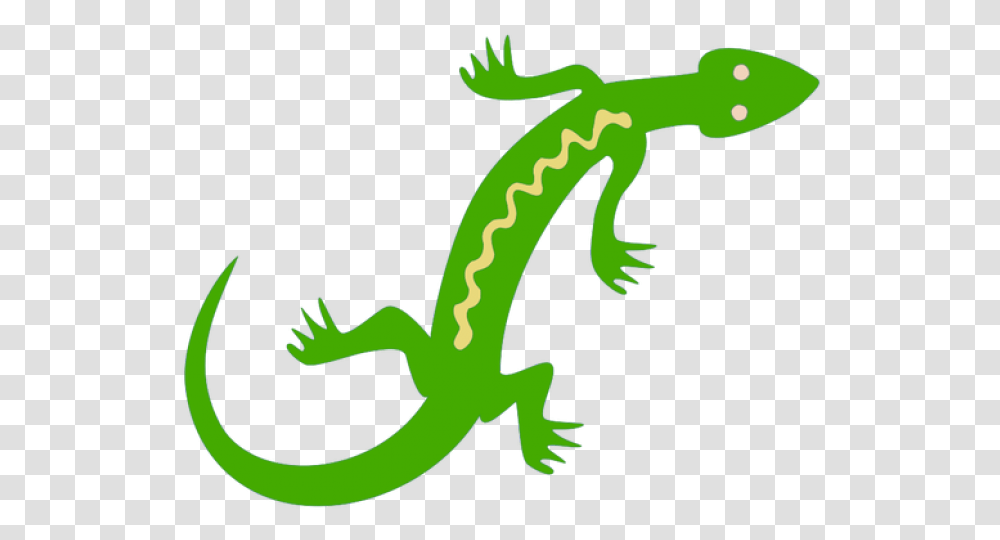 Lizard Clipart Jungle Lizard Clipart, Reptile, Animal, Gecko, Anole Transparent Png