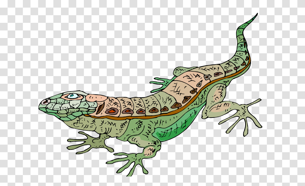 Lizard Clipart, Reptile, Animal, Gecko, Dinosaur Transparent Png