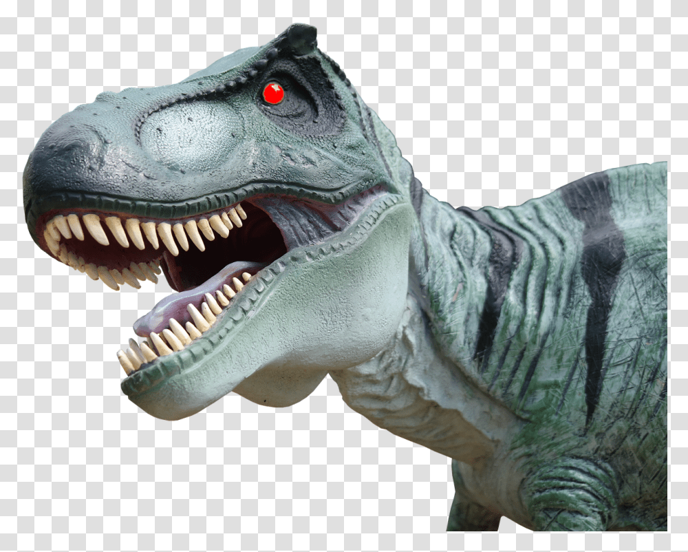 Lizard Dinosaur, T-Rex, Reptile, Animal, Person Transparent Png