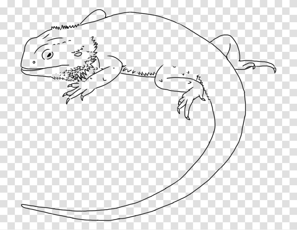 Lizard Drawing Central Bearded Dragon Line Art Clip Draw A Bearded Dragon, Animal, Reptile, Stencil Transparent Png