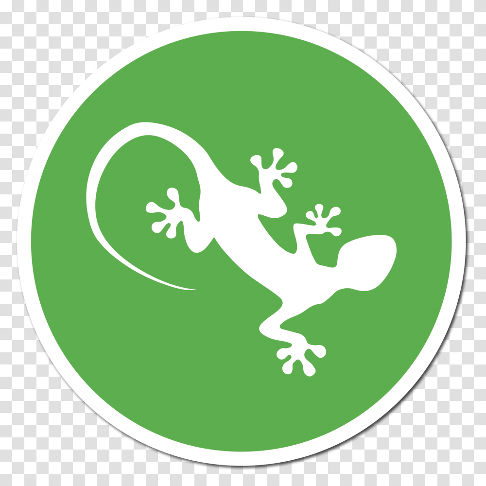 Lizard Fencing Amphibians, Gecko, Reptile, Animal, Iguana Transparent Png