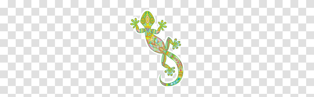 Lizard Gecko Curled Up Sticker, Animal, Wildlife, Amphibian, Frog Transparent Png
