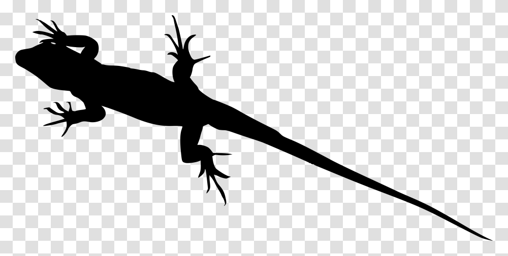 Lizard Graphic Background, Gray, World Of Warcraft Transparent Png