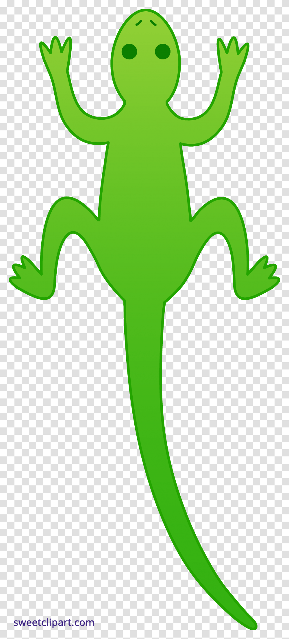 Lizard Green Clipart, Anole, Animal, Amphibian, Wildlife Transparent Png