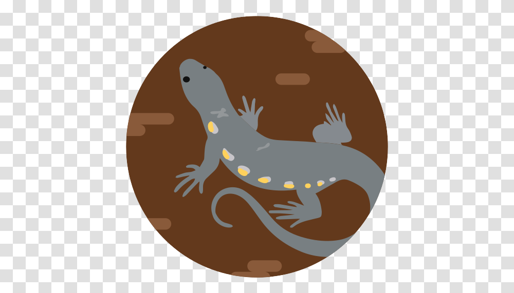 Lizard Reptile Animal Wildlife Free Animal Figure, Amphibian, Salamander, Gecko, Bird Transparent Png