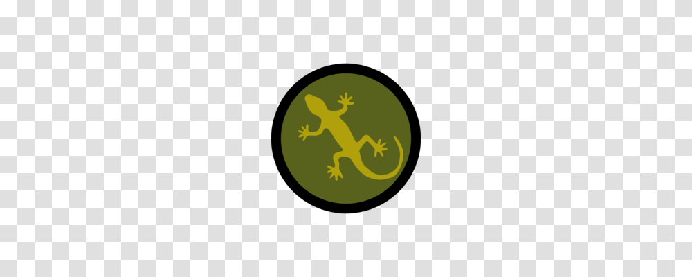 Lizard Reptile Margarita Island Green Iguana, Gecko, Animal, Moon, Outer Space Transparent Png