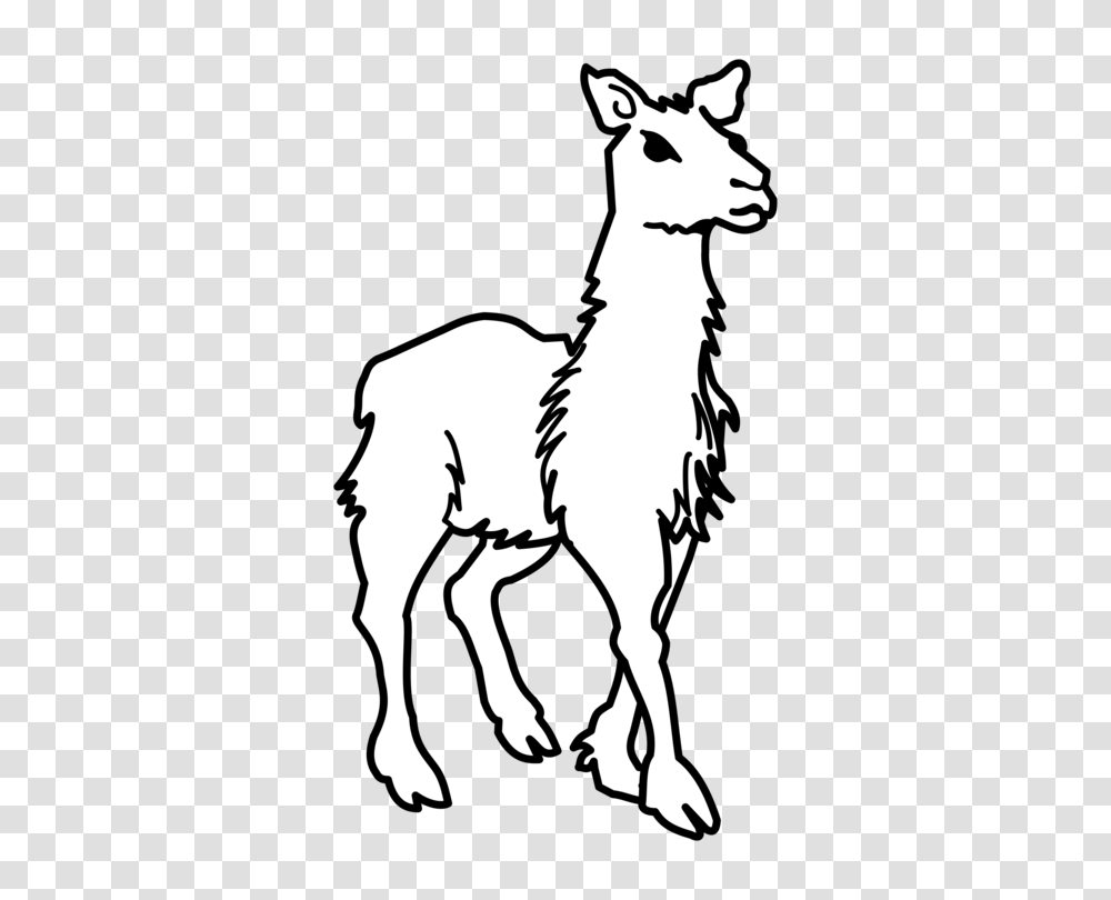 Llama Alpaca Evolution Drawing Computer Icons, Stencil, Mammal, Animal, Silhouette Transparent Png