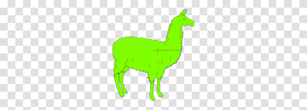 Llama Clip Art, Animal, Mammal, Alpaca Transparent Png
