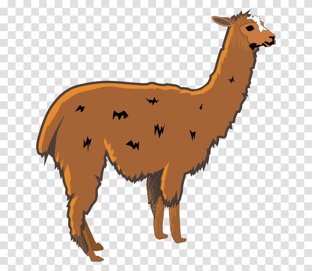 Llama Clip Art Cartoon Free Clipart Images, Mammal, Animal, Alpaca, Antelope Transparent Png
