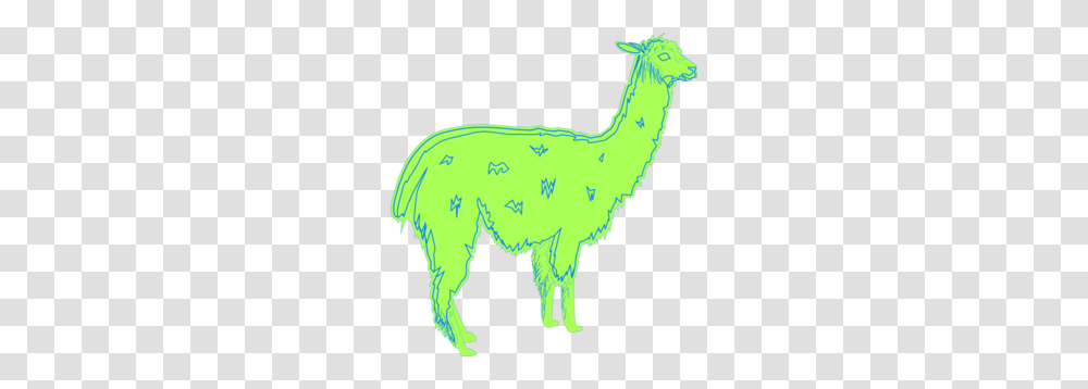 Llama Clip Art, Mammal, Animal, Alpaca Transparent Png
