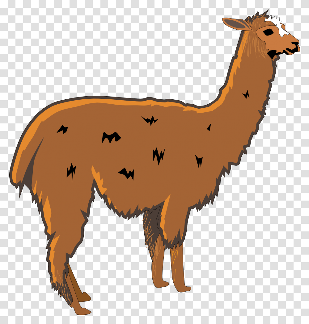 Llama Clip Art Royalty Free, Animal, Mammal, Antelope, Wildlife Transparent Png