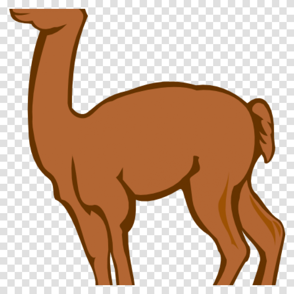 Llama Clipart Llama Clip Art, Mammal, Animal, Camel, Horse Transparent Png