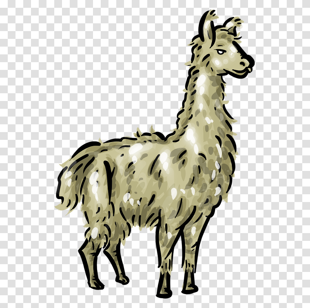Llama Clipart Wallpaper, Animal, Mammal, Cow, Cattle Transparent Png