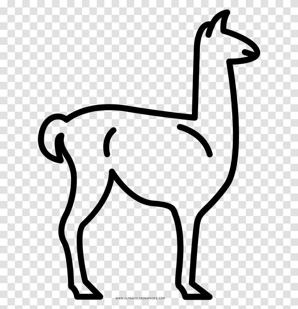 Llama Cmo Dibujar Una Llama, Gray, World Of Warcraft Transparent Png