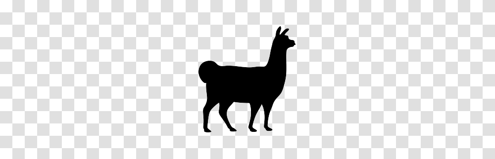 Llama Head Cliparts, Antelope, Wildlife, Mammal, Animal Transparent Png