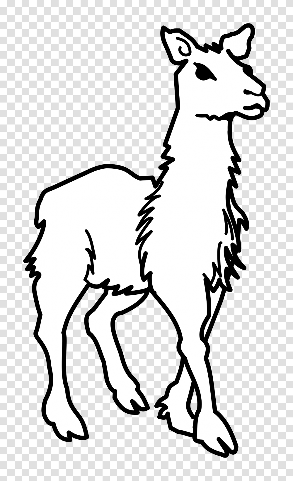 Llama Lineart Icons, Stencil, Silhouette, Mammal, Animal Transparent Png