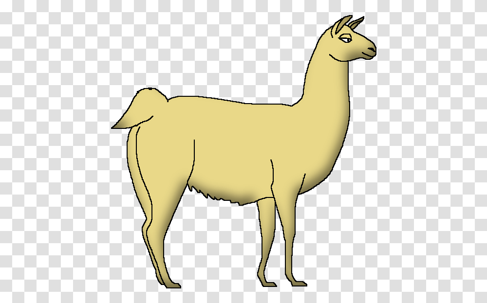Llama Llama, Bird, Animal, Mammal, Wildlife Transparent Png