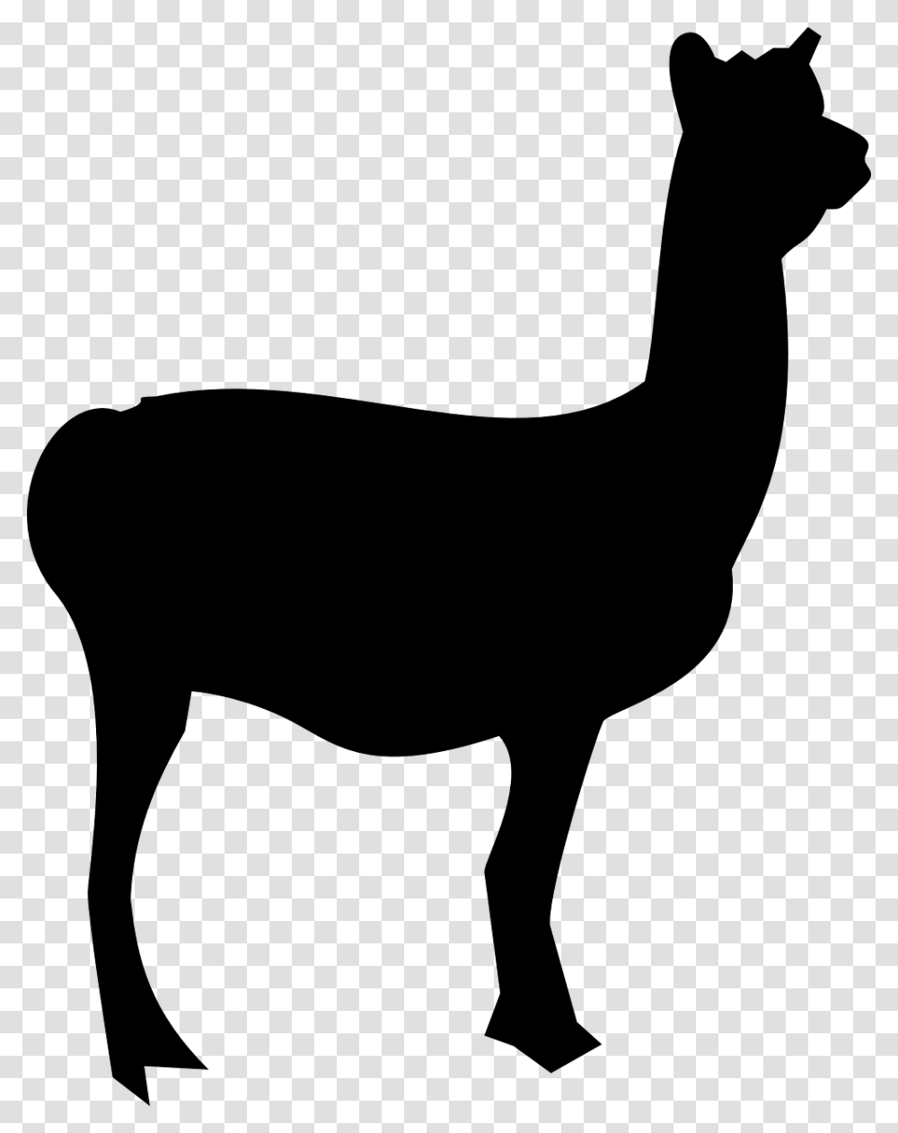 Llama Mammal Animal Silhouette Llama Outline, Gray, World Of Warcraft Transparent Png