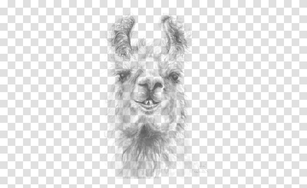 Llama, Nature, Outdoors, Mountain, Snowman Transparent Png