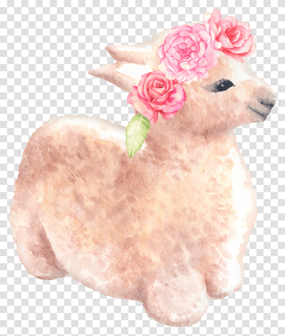 Llama Watercolor & Clipart Free Download Ywd Alpaca Transparent Png
