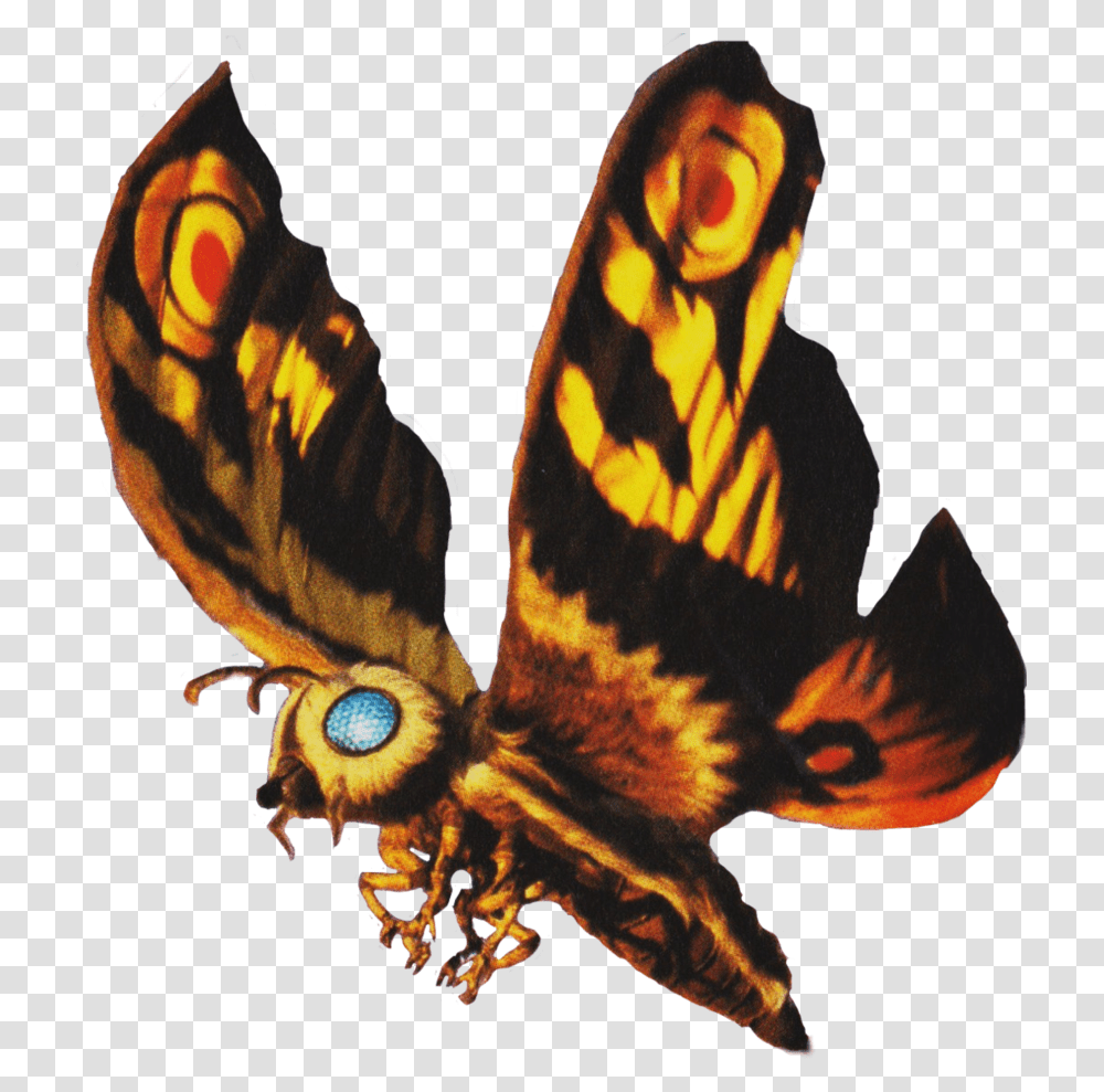 Lmpkios Stash Roleplayer Guild, Butterfly, Insect, Invertebrate, Animal Transparent Png