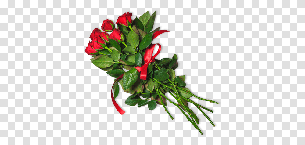 Lobelia, Plant, Flower, Blossom, Flower Arrangement Transparent Png