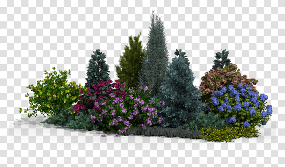 Lobelia, Tree, Plant, Nature, Outdoors Transparent Png