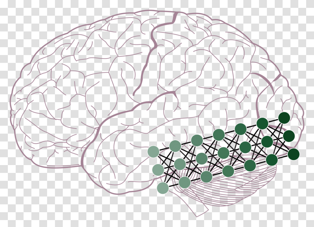 Lobes Of The Brain, Pattern, Rug, Cushion Transparent Png