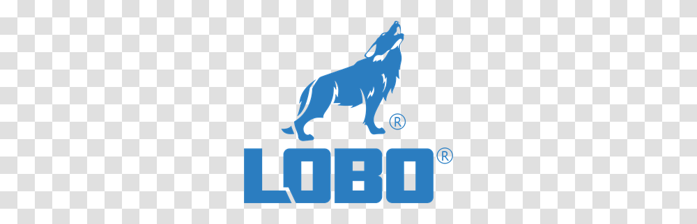 Lobo Paysandu Sport Club Logo Vector, Animal, Mammal Transparent Png