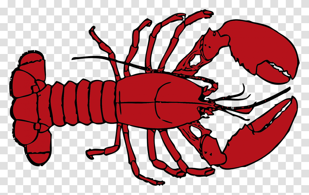 Lobster Free Lobster Clipart, Crawdad, Seafood, Sea Life, Animal Transparent Png
