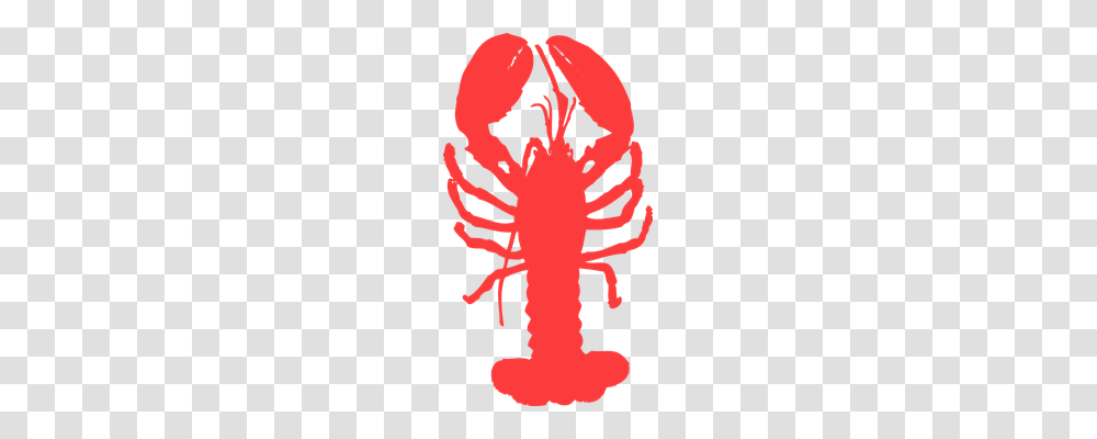 Lobster Nature, Leaf, Plant, Poster Transparent Png