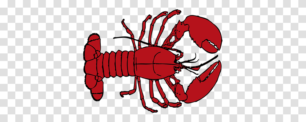 Lobster Technology, Sea Life, Animal, Food Transparent Png