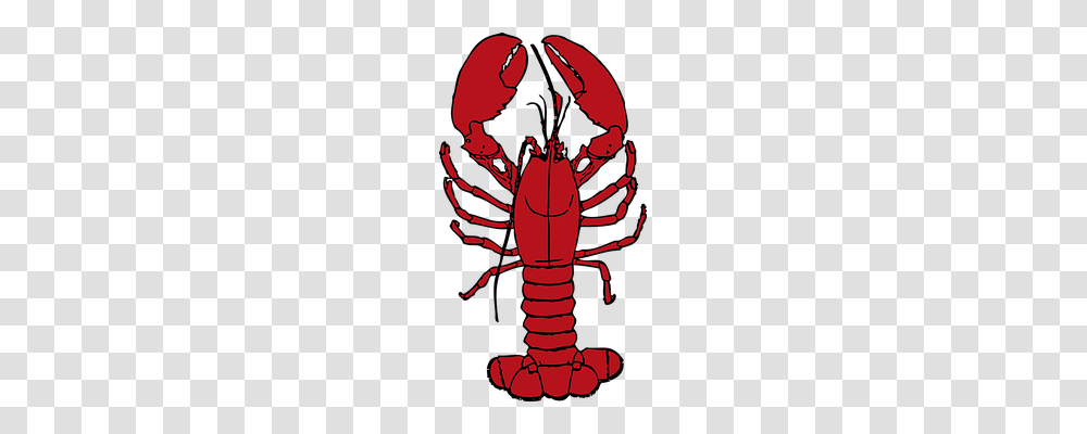 Lobster Food, Seafood, Sea Life, Animal Transparent Png