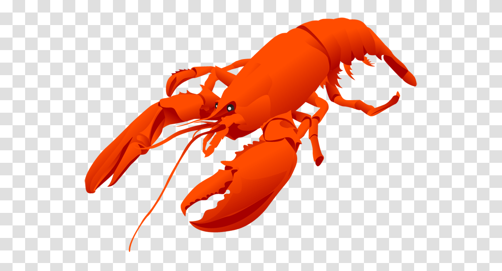 Lobster, Animals, Plant Transparent Png