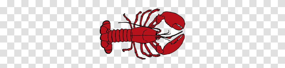 Lobster Clip Art Free, Seafood, Sea Life, Animal, Crawdad Transparent Png