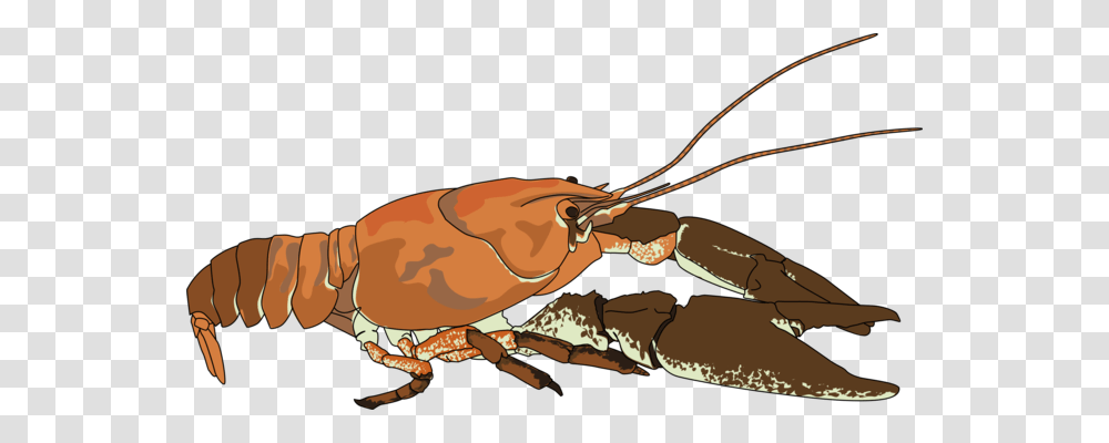 Lobster Crayfish As Food Shrimp Decapoda Seafood, Animal, Sea Life, Invertebrate, Insect Transparent Png