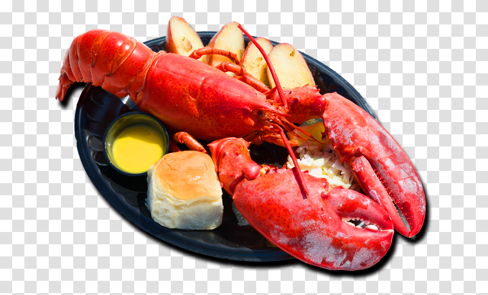 Lobster Food, Seafood, Sea Life, Animal, Burger Transparent Png