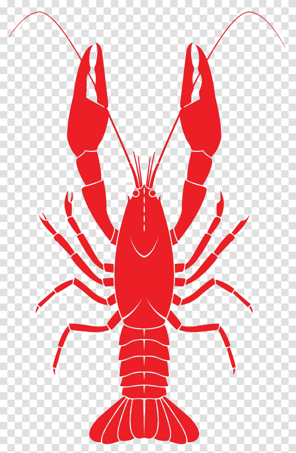 Lobster For Taiapure Crawfish Clip Art, Crawdad, Seafood, Sea Life, Animal Transparent Png